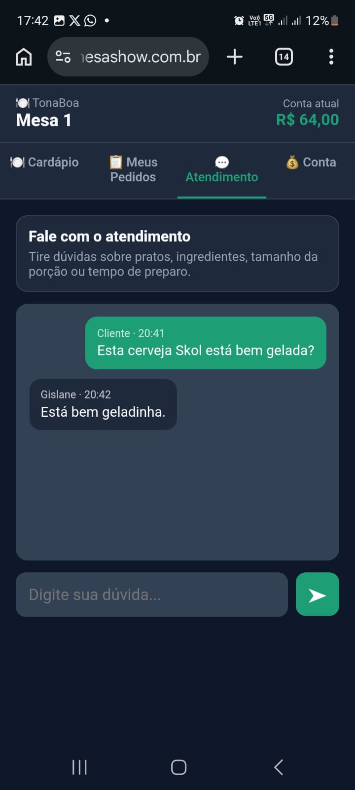 Tela do cliente conversando com atendimento pelo Mesa Show